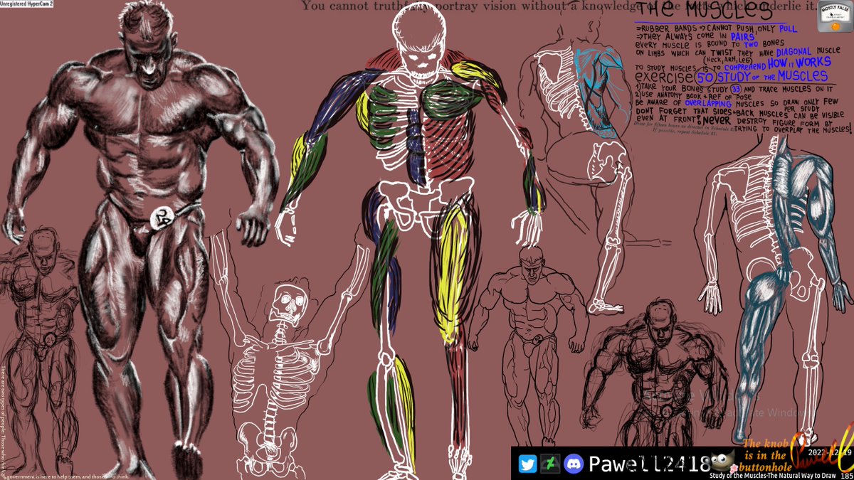 Pawell2418's tweet photo. #TheNaturalWayToDraw - Study of the Muscles
Yeah... this is out of my ability and even when i am ogling the anatomy book for sculptors i am so not sure what am i even doing. I learned something but lmao this cannot help me in drawing people in my current drawing skill level. https://t.co/WU6GGMYWhK