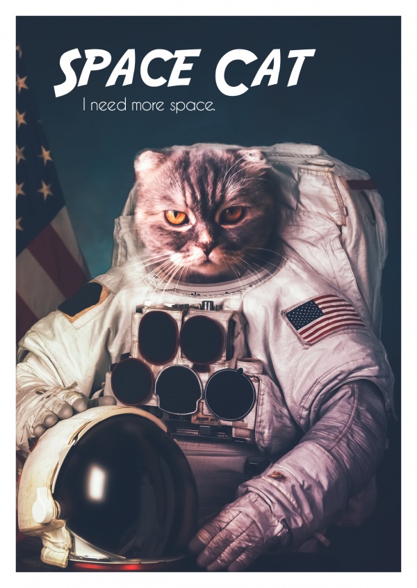 ItsSpaceCats's tweet photo. https://t.co/aB1vaNbDr9