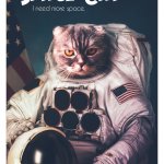 Photo by Space Cats (@ItsSpaceCats)