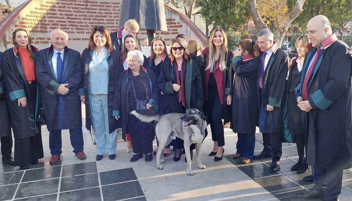 av_didem's tweet photo. Çanakkale Barosu’nun ev sahipliğinde gerçekleştirilen, Türkiye Barolar Birliği 37. Olağan Mali Genel Kurulundan kalan keyifli bir anı 💙⚖️ 🐕 https://t.co/IhYO24lUBL