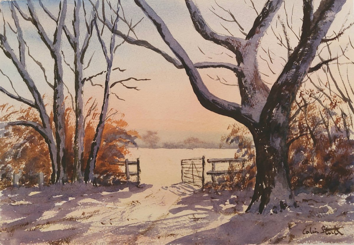 'Warm Winter Sunlight, Galleywood Common'.
#colinsteedart #snowfall #chelmsfordessex #art  #uk #ukartist #usa #wintersun