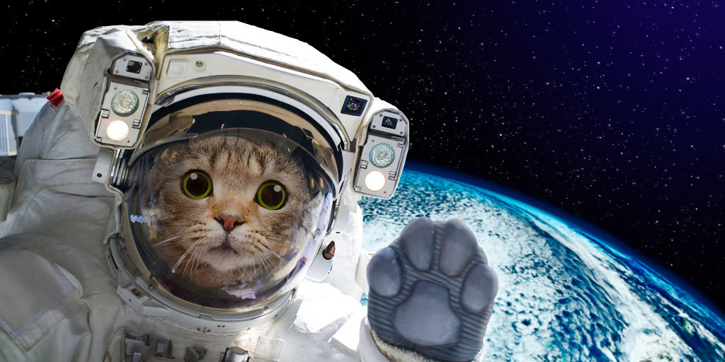 ItsSpaceCats's tweet photo. https://t.co/9DXfAJ6Hda
