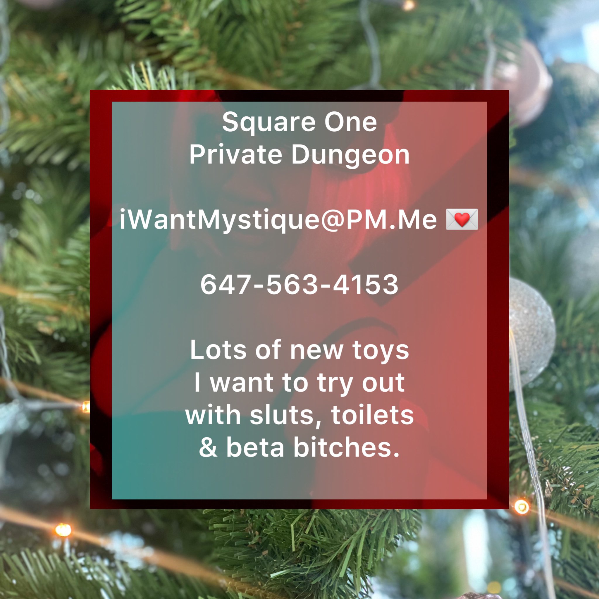 TW Pornstars Mistress Mystique; 🇨🇦Dominatrix & Escort. Twitter. I am