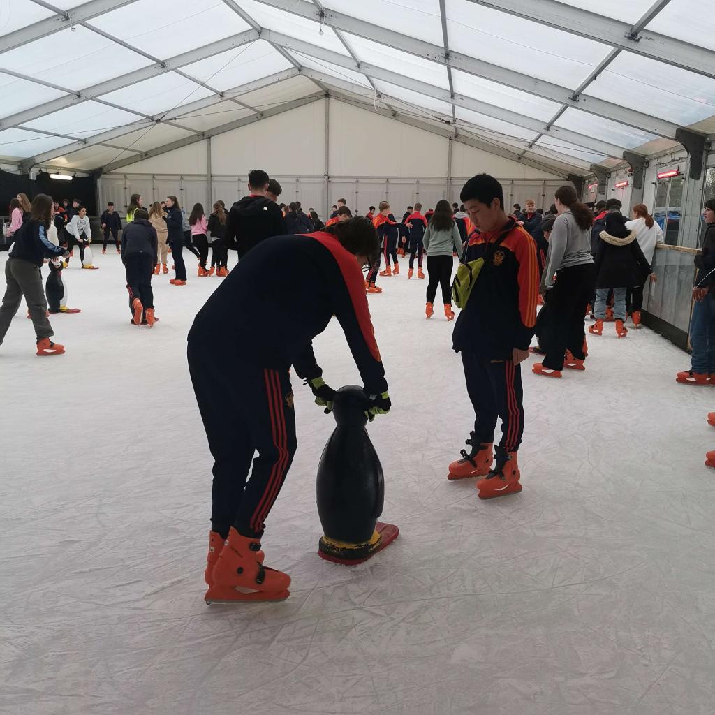 St. Fintan's HS on Twitter "Our TY group had a great morning ice