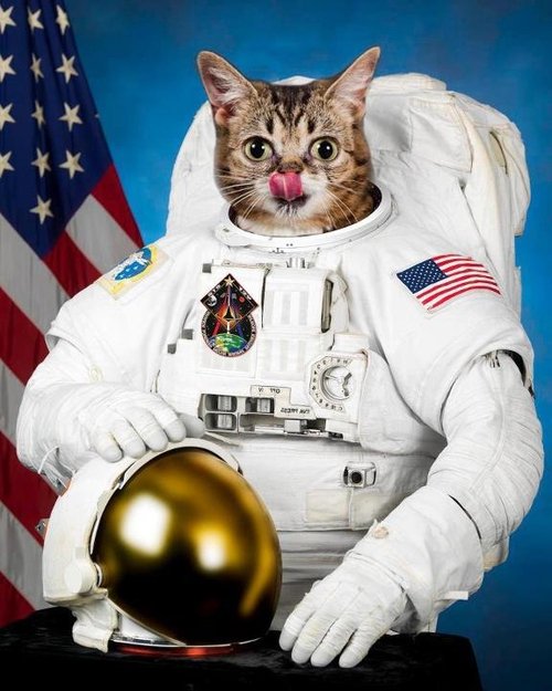 ItsSpaceCats's tweet photo. https://t.co/m4975mHmBl