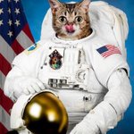 Photo by Space Cats (@ItsSpaceCats)