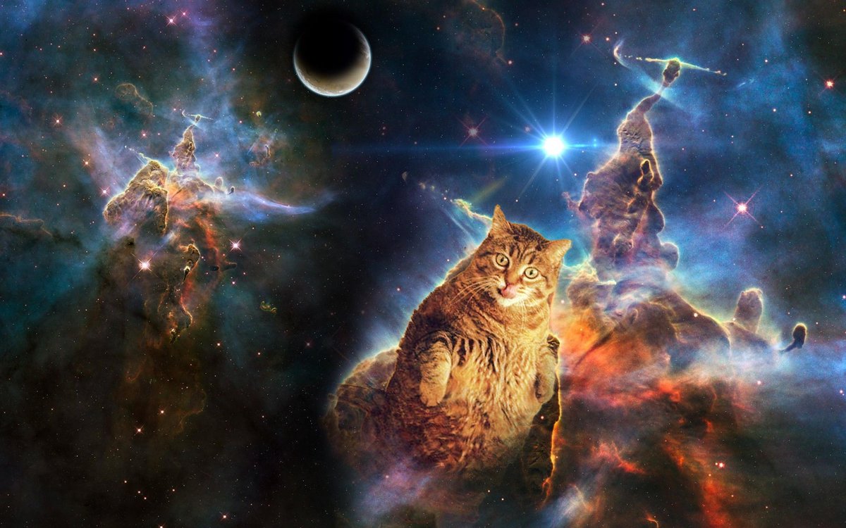 ItsSpaceCats's tweet photo. https://t.co/IYUOW3TlnR