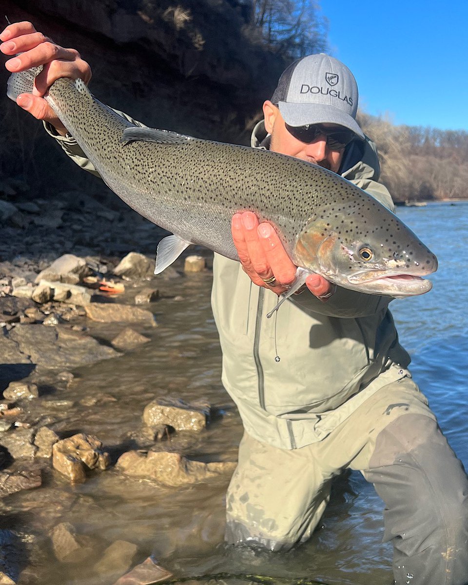 troutit's tweet photo. Thankful for all my days on the water, but every now and again, one day rises above the others.
#steelhead  #chrome #greatlakes #flyfishing #catchandrelease https://t.co/3JVVnP0raI