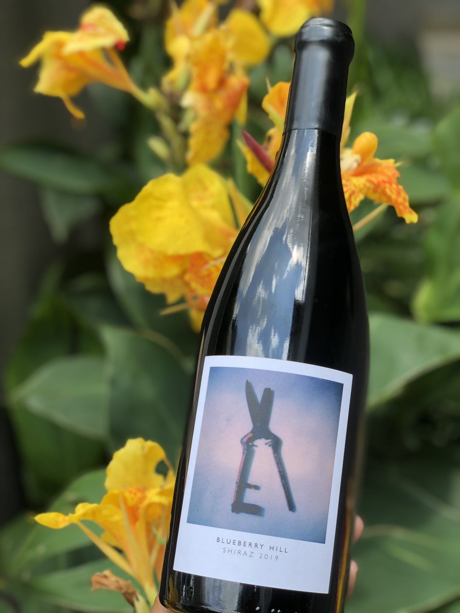 TsepangMolisana's tweet photo. The Most Wonderful Time of the Year 🎁 🍷🫐
@Stellenrust Blueberry Hill Shiraz 2019. “Like Fats Domino and Louis Armstrong sang, the winemaker found his thrill on Blueberry Hill.”
A merry gift. Thank you Tertius, Kobie and the team. Good tidings to you and yours
#Stellenrust https://t.co/Jg4Gia9ltj
