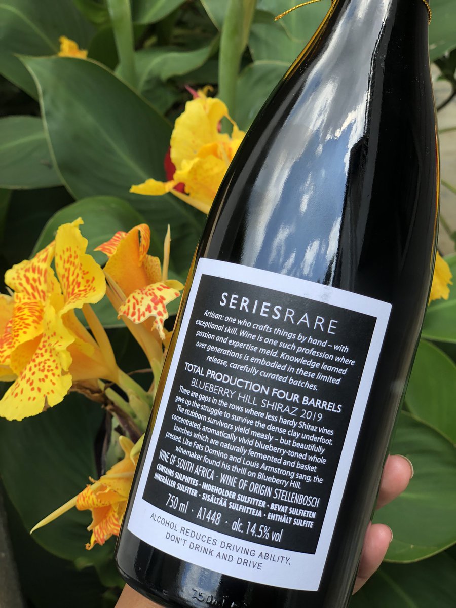 TsepangMolisana's tweet photo. The Most Wonderful Time of the Year 🎁 🍷🫐
@Stellenrust Blueberry Hill Shiraz 2019. “Like Fats Domino and Louis Armstrong sang, the winemaker found his thrill on Blueberry Hill.”
A merry gift. Thank you Tertius, Kobie and the team. Good tidings to you and yours
#Stellenrust https://t.co/Jg4Gia9ltj