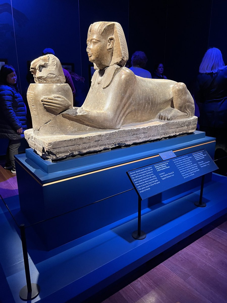 astroboyatblast's tweet photo. Great exhibition at @deyoungmuseum of #RamsestheGreat. Extremely detailed and informative. Very well done. Go see if in #SanFrancisco🌉 https://t.co/4oAZzIhv0Q