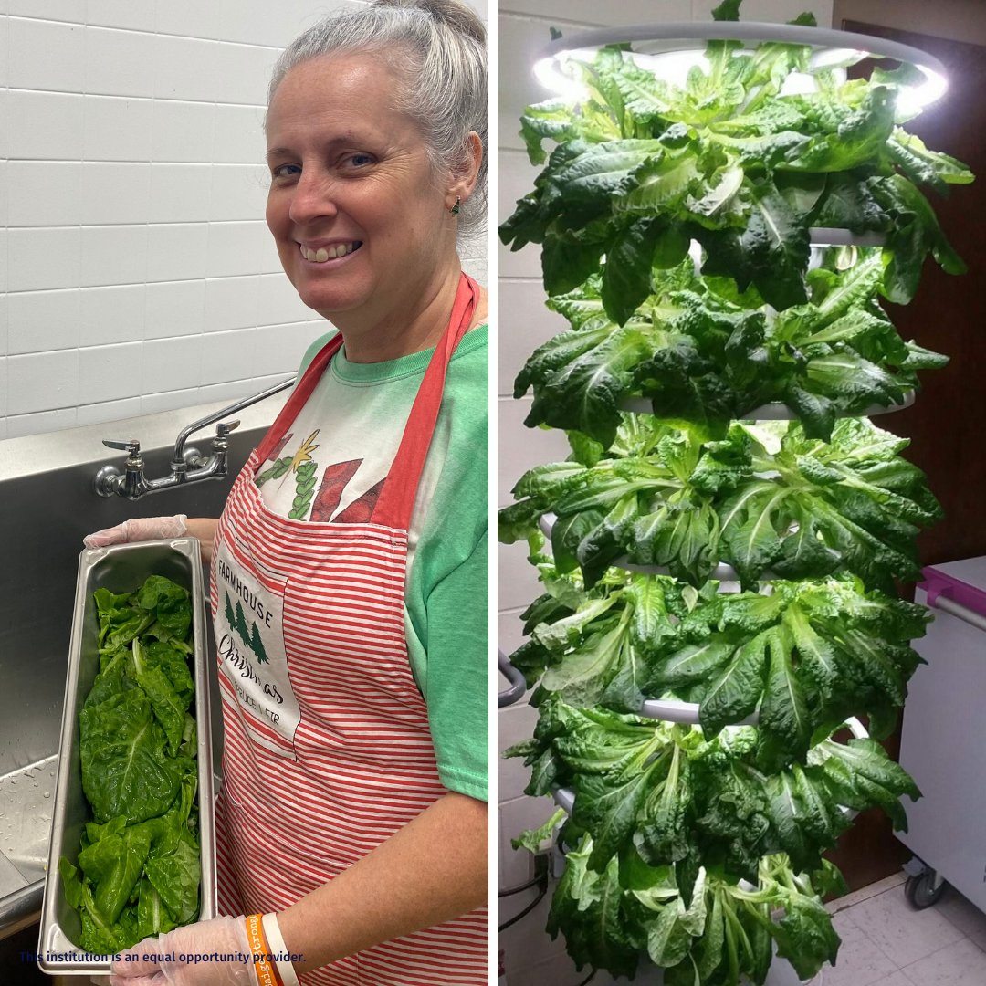 Haleyville City Child Nutrition Program tweet media