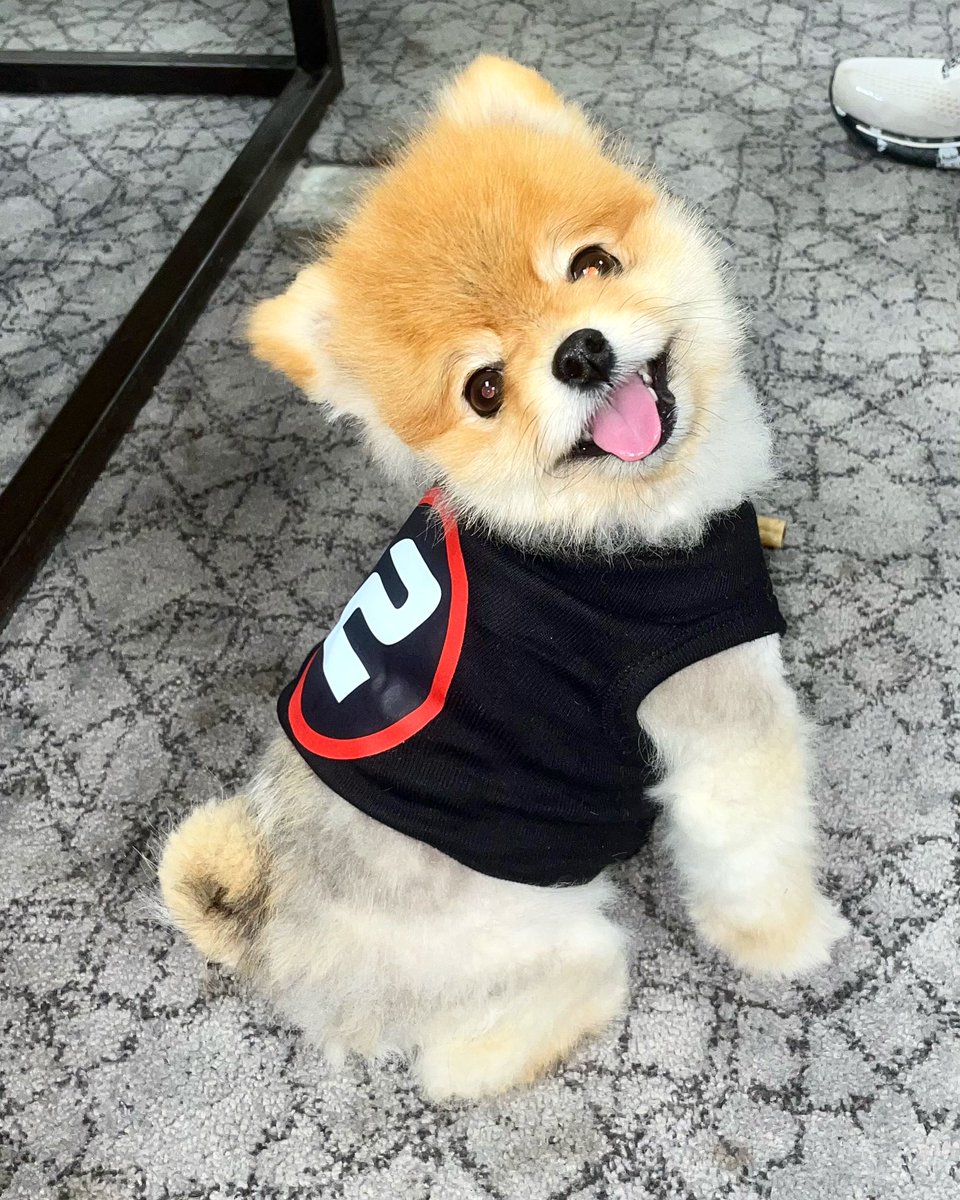 Butler Business Systems proud to be a premier partner of Round2 POS! 

Jojo loves to represent the logo around the office🐶 

….Contact BBS today and see how we can make a monumental difference in your business!!