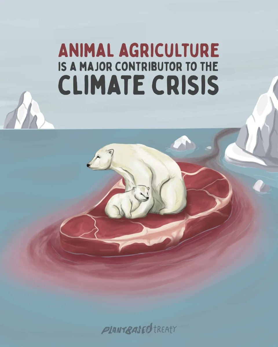 Animal agriculture is a leading contributor of carbon dioxide, methane, and nitrous oxide emissions.
⠀
Our earth is melting (literally!) and animal agriculture is the culprit.⠀
⠀
Save the planet, stop global warming and sign the #plantbasedtreaty 🌱 
plantbasedtreaty.org