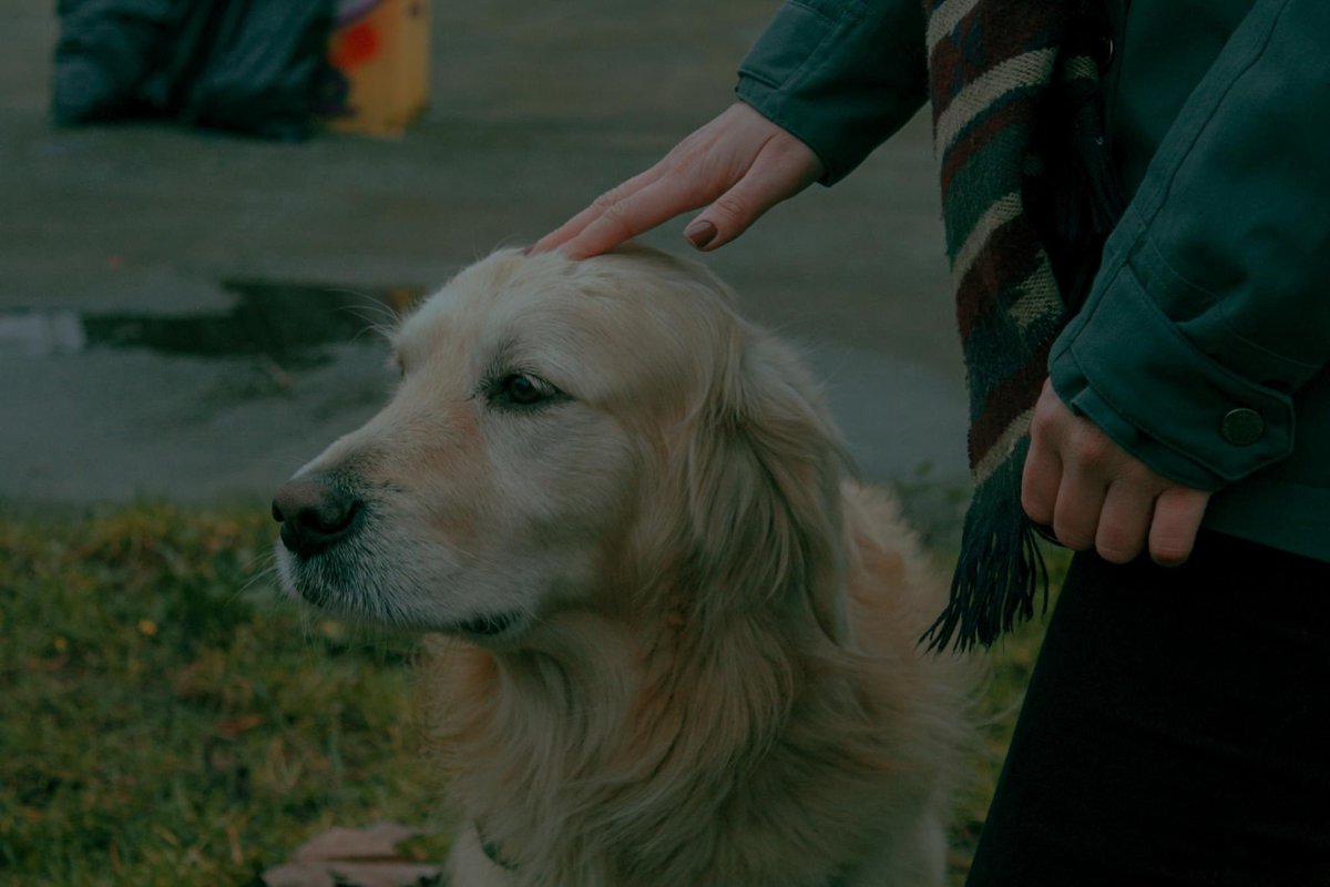 SpaceTetova's tweet image. #SaveTheSpace