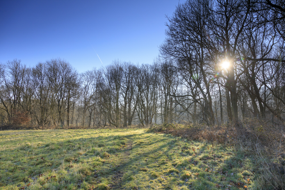 Merry Christmas and a Happy New Year to all of our followers! We hope you find time during your day, for a fresh Christmas Day walk in your local green space, if you're able to. Best Wishes, see you in 2023, the FPA Team 🌳😊