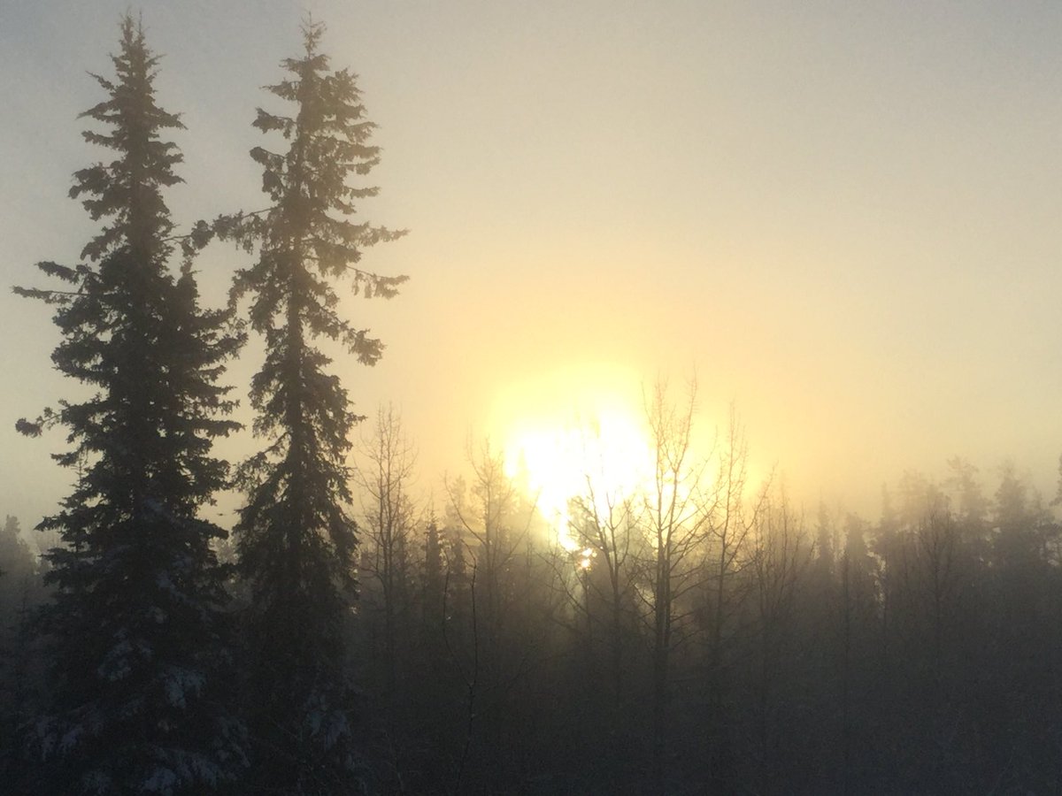 MinermanScotti's tweet photo. Nice to see my #friend -45.7c #IceFog #SuperCold #Yukon https://t.co/iUMgwC6yWv