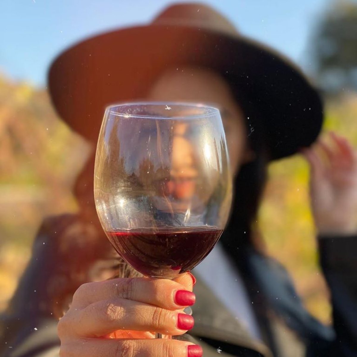 GiracciVineyard's tweet photo. Delicious food deserves to be paired with an equally delicious wine. What's your go-to pick for a special dinner? https://t.co/rXo6mYiCAu