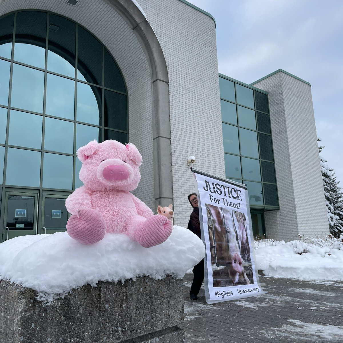 VegJen's tweet image. Inside the courthouse on day one of our #PigTrial - it’s our sentencing hearing, which might even be over today. 

The prosecution has asked we receive a criminal record by seeking a suspended sentence, with 2 years probation.