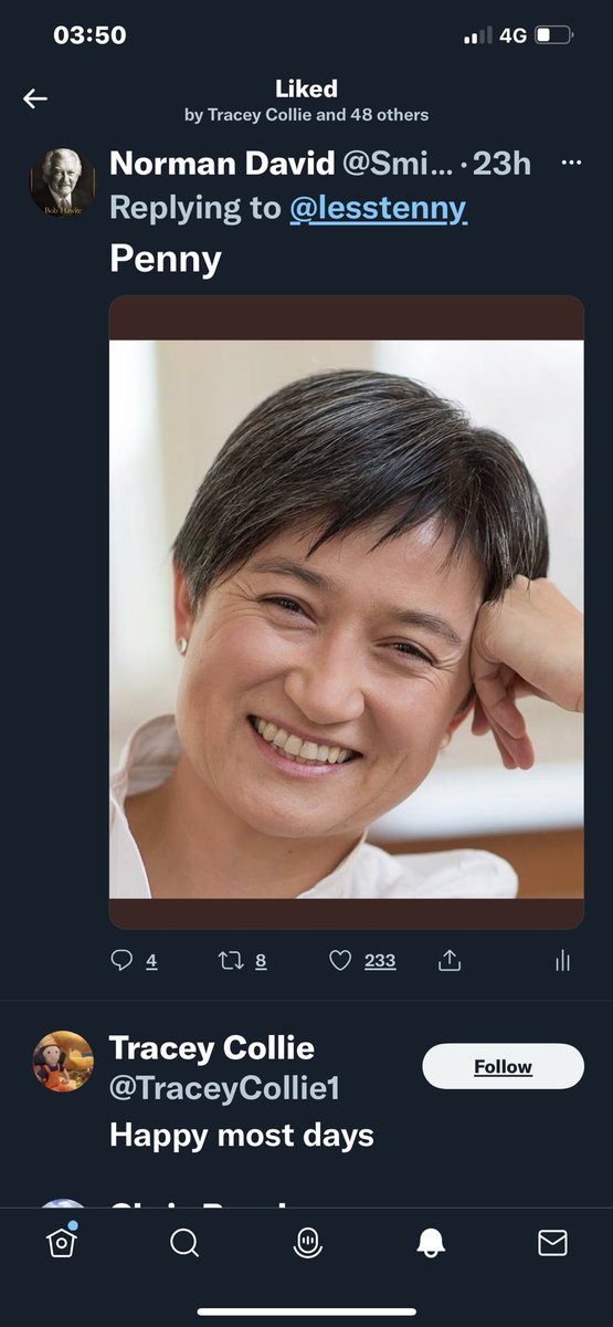 💧NORMAN DAVID tweet media