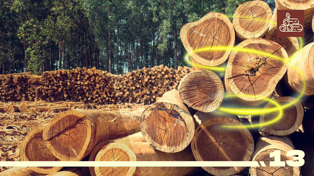 We can now #3Dprint as much wood as we want without cutting a single #tree.

buff.ly/3WqJLg3
<a href="/Shi4Tech/">💙 #TechForGood 💙</a> <a href="/jblefevre60/">Jean-Baptiste Lefevre</a> <a href="/FrRonconi/">Franco Ronconi 🇮🇹</a> <a href="/sallyeaves/">Sen. Sally Eaves</a> <a href="/Nicochan33/">Nicolas Babin</a> <a href="/Hana_ElSayyed/">Hana</a> <a href="/PawlowskiMario/">Mario</a> <a href="/gvalan/">Greg Valancius</a> <a href="/RLDI_Lamy/">Lionel Costes</a> <a href="/kalydeoo/">Eric Gaubert</a> <a href="/Fabriziobustama/">Fabrizio Bustamante #CES2026</a> <a href="/mvollmer1/">Dr. Marcell Vollmer #StaySafe #CES2026</a> #technology #CES2023 #SDGs