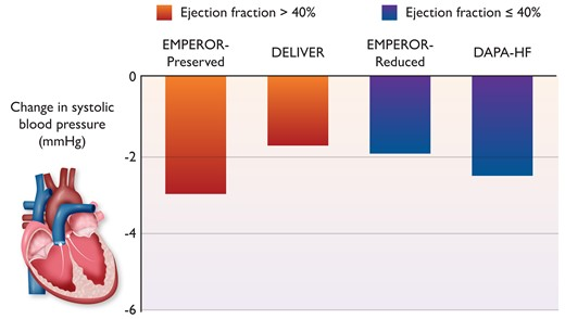 Muthu Vaduganathan (@mvaduganathan) on Twitter photo A Welcome ‘Failure’ of Gliflozins: #BloodPressure Reduction in #HeartFailure in <a href="/escardio/">European Society of Cardiology</a> #EHJ
<a href="/Kieranfdocherty/">Kieran Docherty</a> & @PSJhund highlight the relative hemodynamical neutrality of #SGLT2i in HF, facilitating their ease of use.
Average BP ↓ of just <2-3mmHg!
academic.oup.com/eurheartj/adva… A Welcome ‘Failure’ of Gliflozins: #BloodPressure Reduction in #HeartFailure in <a href="/escardio/">European Society of Cardiology</a> #EHJ
<a href="/Kieranfdocherty/">Kieran Docherty</a> & @PSJhund highlight the relative hemodynamical neutrality of #SGLT2i in HF, facilitating their ease of use.
Average BP ↓ of just <2-3mmHg!
academic.oup.com/eurheartj/adva…