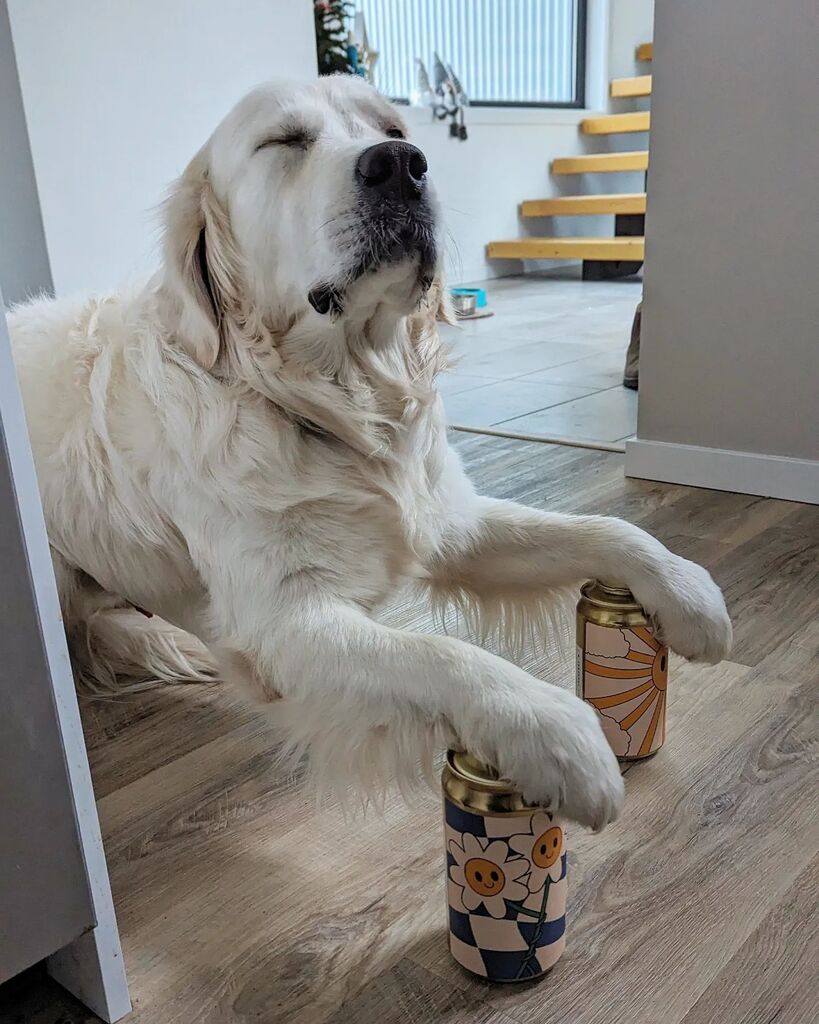 That feeling when the new @houseoffunkroasting subscription arrives.

This month was (shamelessly stole this wrote up from their IG post):

Your Main Squeeze
Origin: Mexico
Region: Chiapas
Varietal: Bourbon / Caturra / Catuai
Elevation: 1100-1300
Process: Washed
Flavour - A …