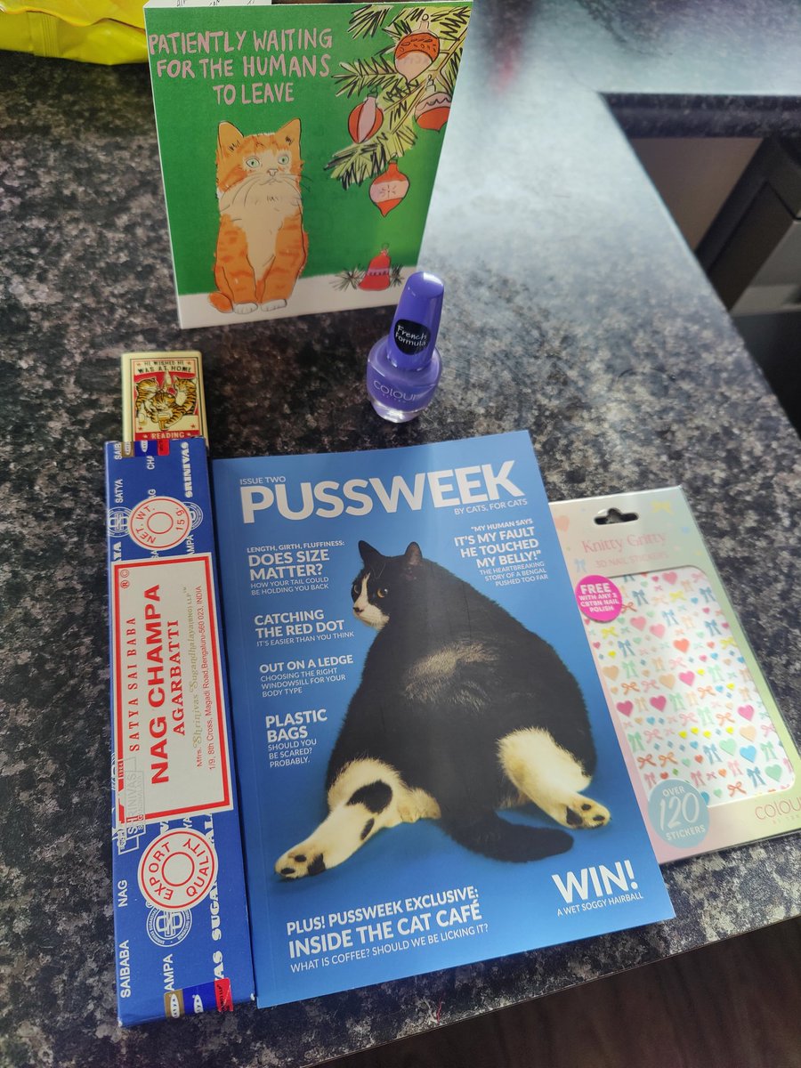 Soooo spoilt by my #Secretsantanz2022 I absolutely love everything but I especially adore how the card is a little ginger cat 😍 Thank you sooo much!!