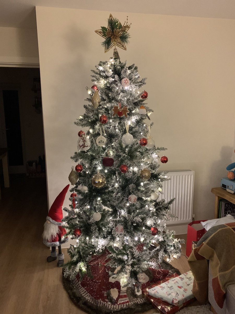 Steffiejade's tweet photo. @williamhanson  #pickytree 
For your considerations. We did have some ribbon on it but my cats ripped them down https://t.co/oC9LWoPX3g