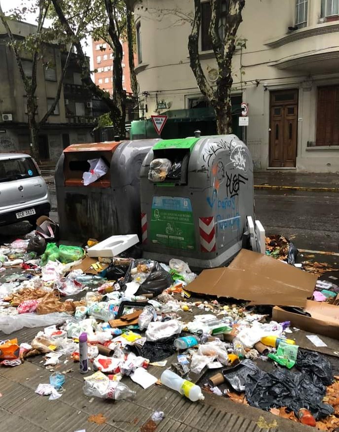 Pedro González tweet media