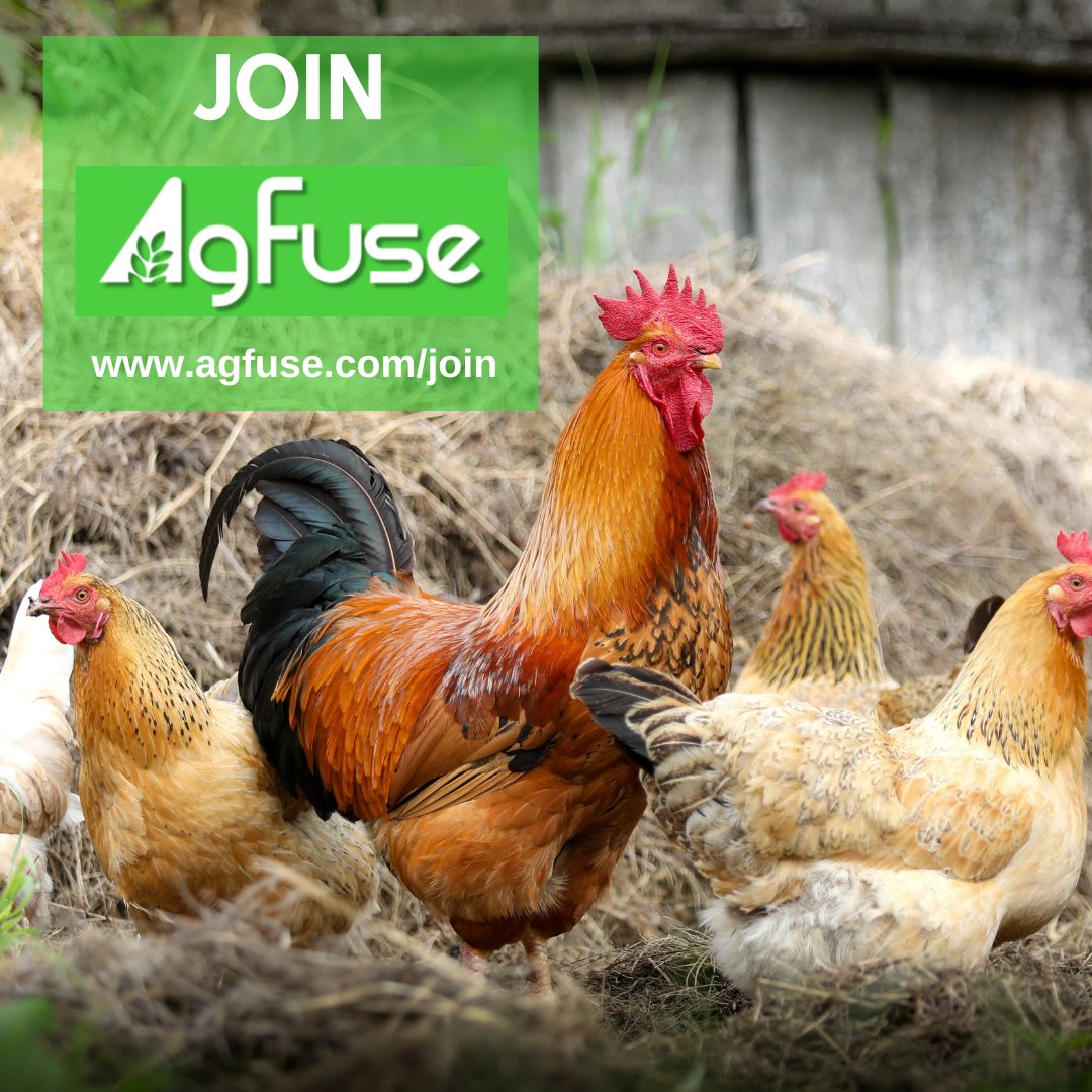 AgFuse is a growing social media platform, and we would love for you to join. Visit agfuse.com/join to sign up today and start sharing your Ag-Story.