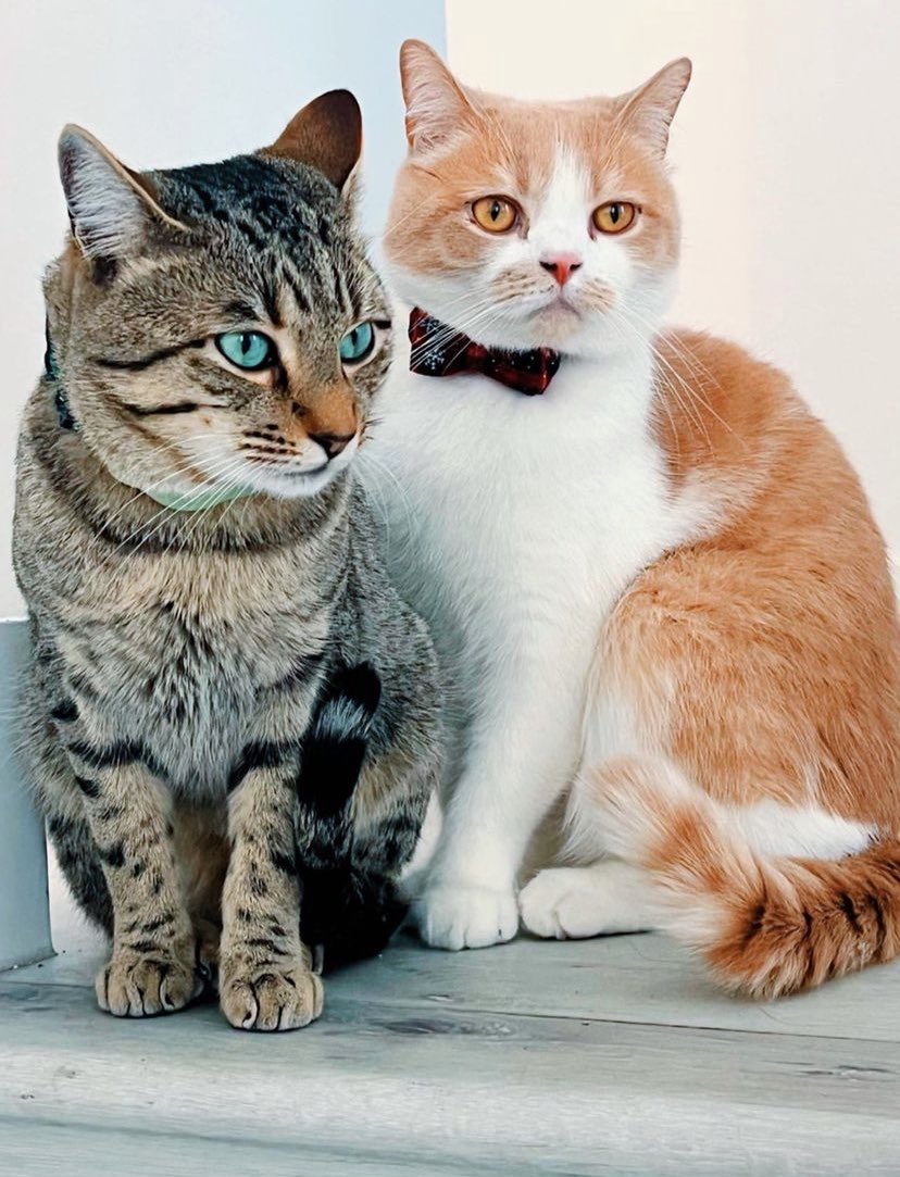 fenderpaege's tweet image. historians will say they were besties