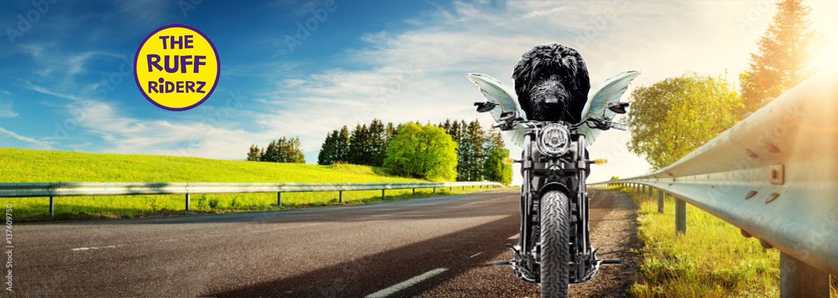 TheRuffRiderz (@theruffriderz) on Twitter photo Hey Bikers. For those who don’t know me. I am LJ <a href="/LJ_doodle/">Angel LJ O’Doodlebug 🏍🌈 💔Ronda</a> Co-Founder of #theruffriderz and Chief Operations Officer since 2017. My role is to plan the rides, make the ride pics and do ALL the Riderz tweets. I would be so grateful if you could follow me so we can keep in touch. Hey Bikers. For those who don’t know me. I am LJ <a href="/LJ_doodle/">Angel LJ O’Doodlebug 🏍🌈 💔Ronda</a> Co-Founder of #theruffriderz and Chief Operations Officer since 2017. My role is to plan the rides, make the ride pics and do ALL the Riderz tweets. I would be so grateful if you could follow me so we can keep in touch.