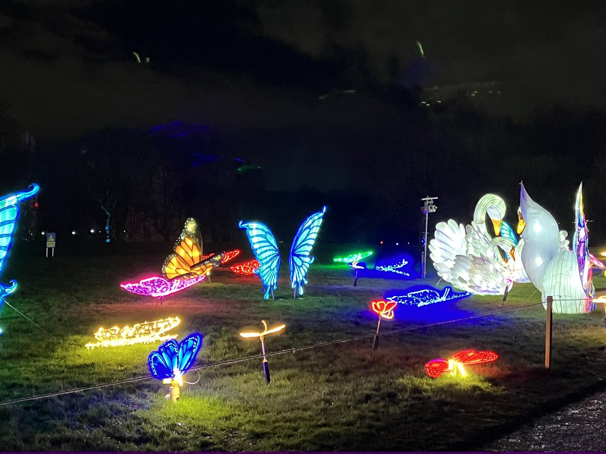 StriblingDan's tweet photo. Festive fun at #Lightopia tonight. Heaton Park looking good lit up. https://t.co/KUS5JRQxuX