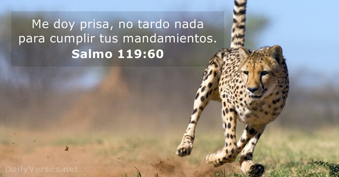 MarianFrattini's tweet photo. https://t.co/TQYI1gBotL