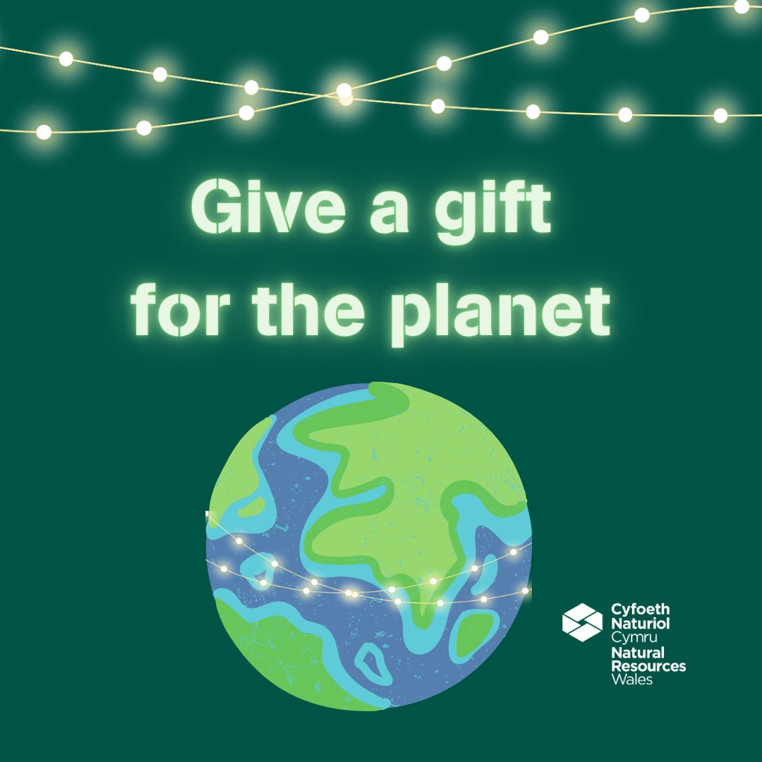NatResWales's tweet photo. Nature gives us everything we need to thrive, but it needs our help. At this time of giving, think about what you can do to give back to the planet. ππ
Over the next 10 days weβll talk about easy ways you can make a difference to the environment.
Give a #GiftForThePlanet https://t.co/75cJrL87LU