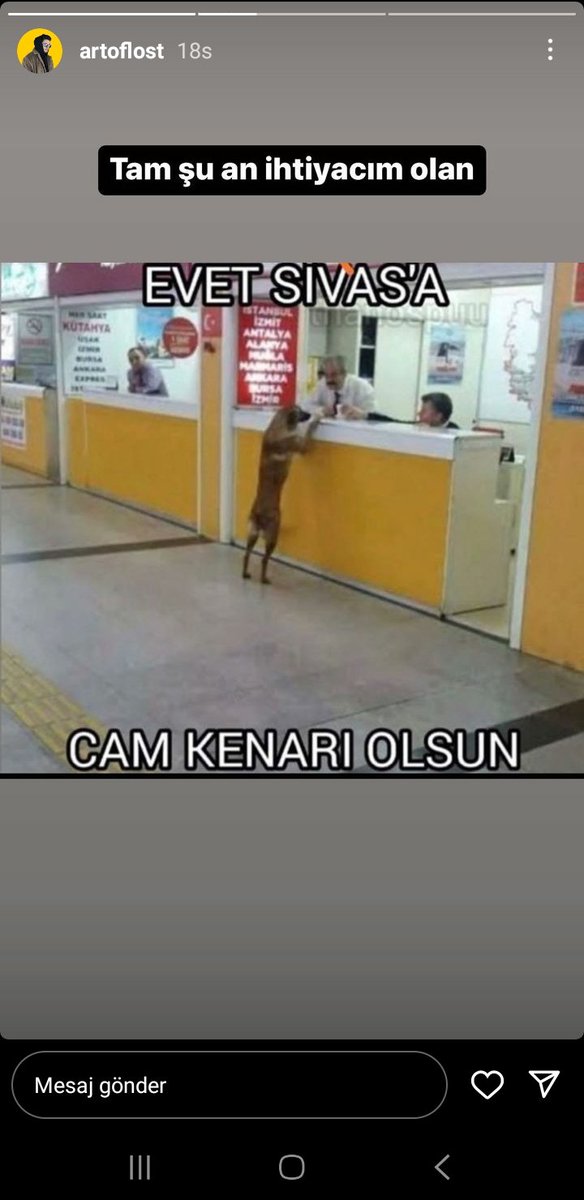 Ruh halim tam bu şu an