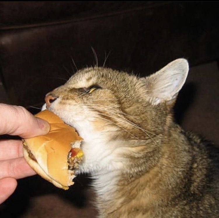 CycloneDelivery's tweet image. to : @bywhlclair 
from : @therealkaching_ 
     - “APOLOGY FOR NOT SEEING YOURS FOR SO LONG HAVE SOME SILLIES &amp;lt;333” ☆