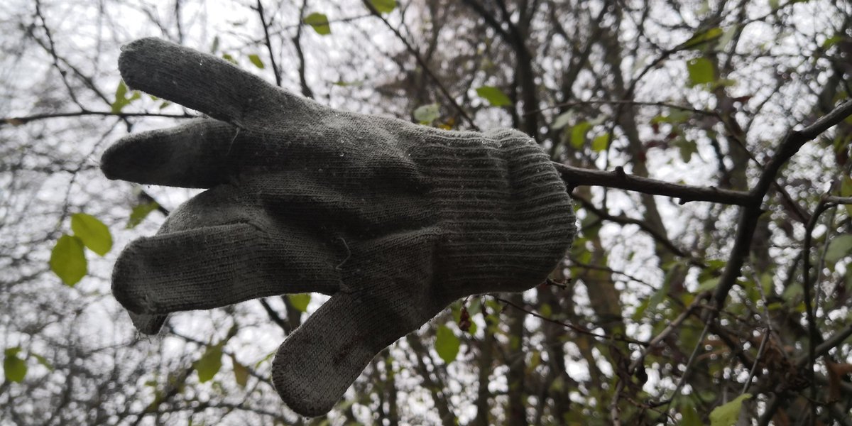 DubeAteo's tweet photo. #lostgloves 🧤 https://t.co/qR2mXsqGQR