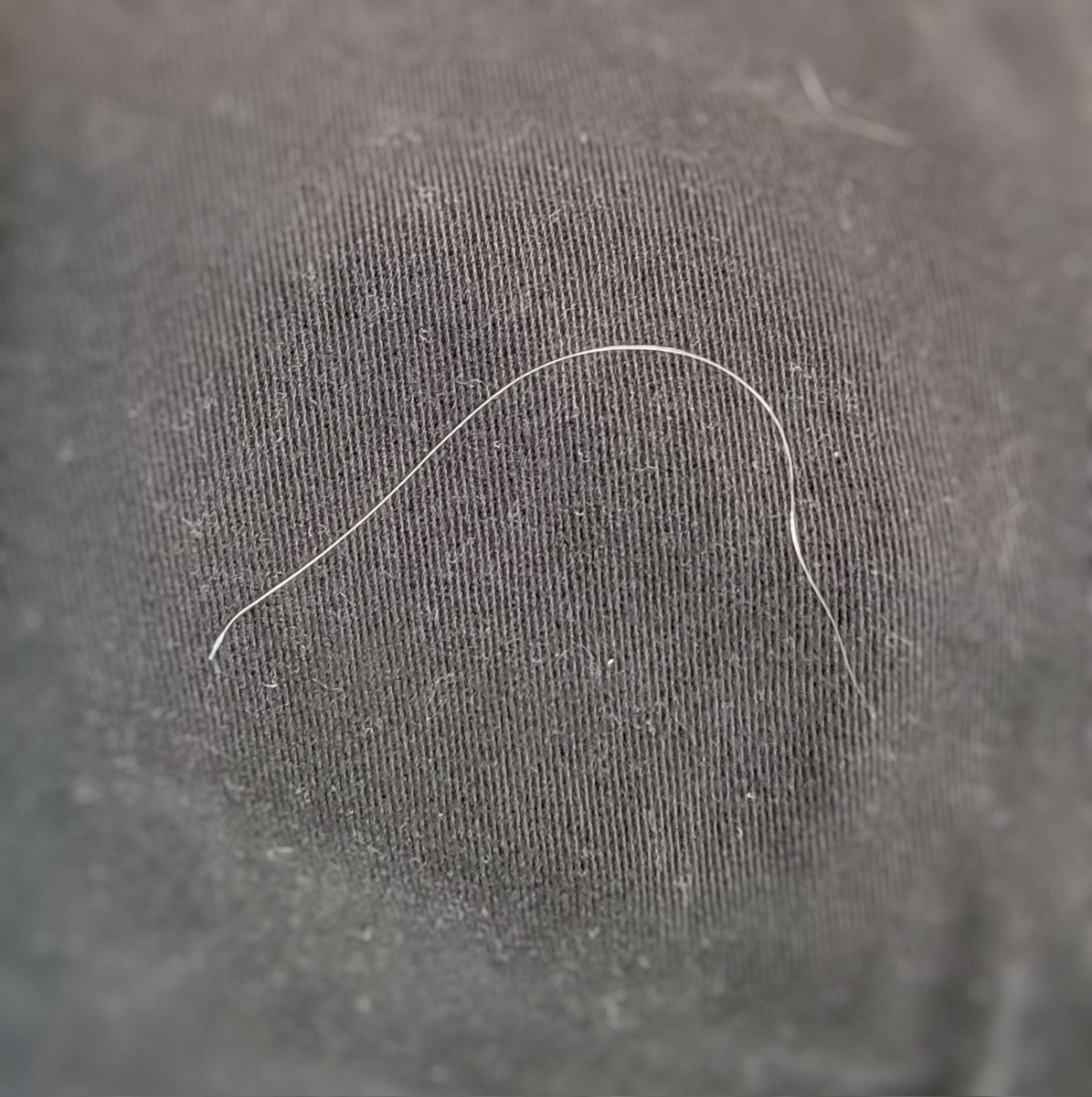 Hoodyhooo tweet media