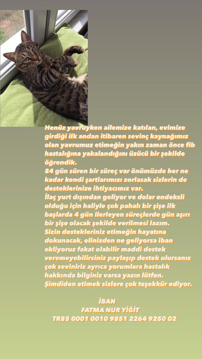 etimek (@etimekkkk) on Twitter photo 