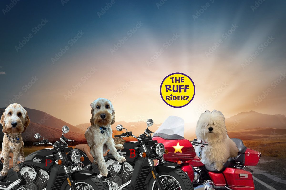 Then, on the Riderz side we have the next generation. <a href="/HowlinHarly/">Harly Howls</a> and <a href="/ODoodles1/">ApprenticeBovverBoyyos🏍🏍</a> As yet they are just boys that want to have fun. One day we will get some work out of them. #theruffriderz