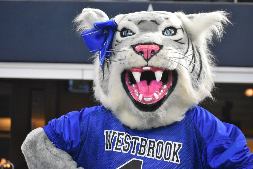 txhsfb(Tony Blalock) tweet media