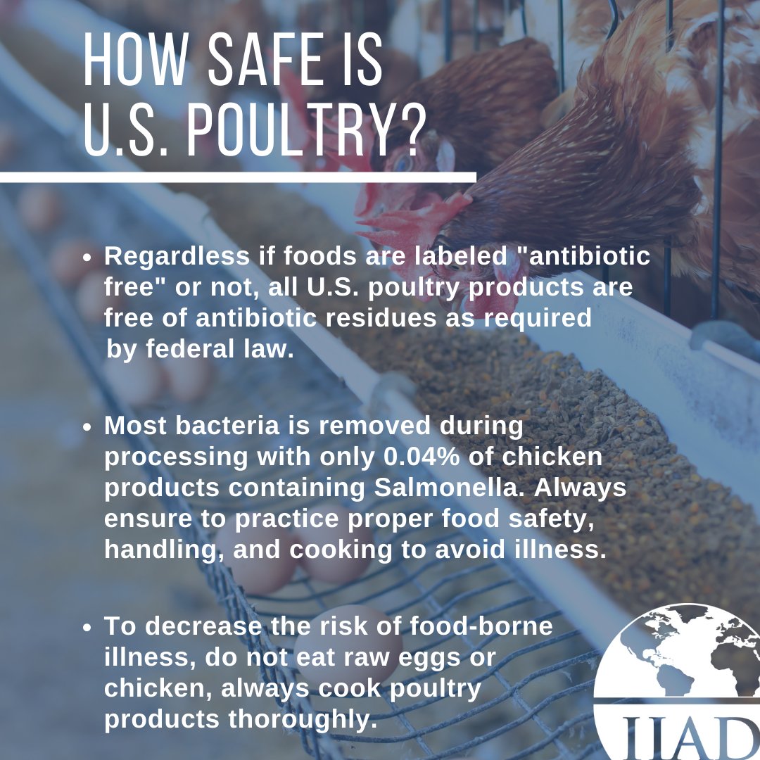 IIADAgriLife's tweet photo. #meatmonday

This week: Poultry🐓⛑️

Did you know❓The Poultry Products Inspection Act
requires close examination of all birds to ensure safety for human consumption🍗🍳

#tamu #publichealth #animalhealth #veterinarian #vetmedicine #poultry #chickens #poultryindustry #foodsafety https://t.co/C7zRCSYleg