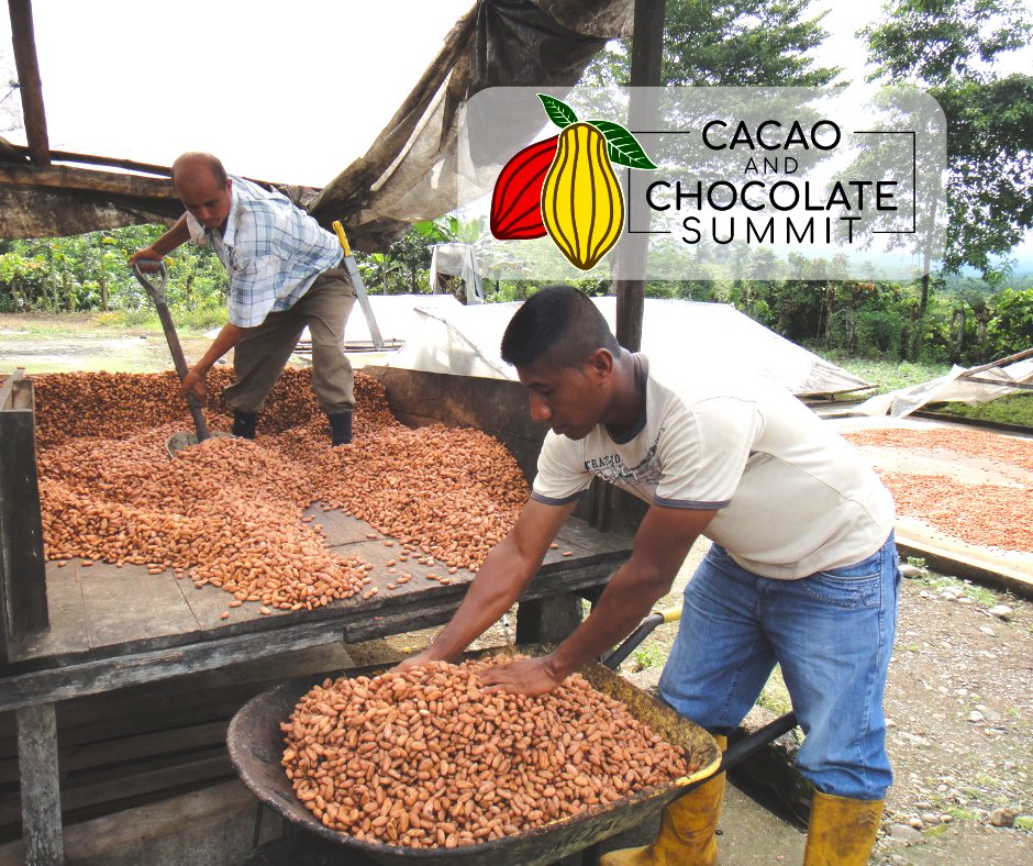 CacaoChocSummit's tweet photo. Talking Traceability &amp; Transparency - https://t.co/S5WgulvuGr members within the cocoa and chocolate industry share the projects they are carrying out and the challenges they face. https://t.co/TsTekZH8YI