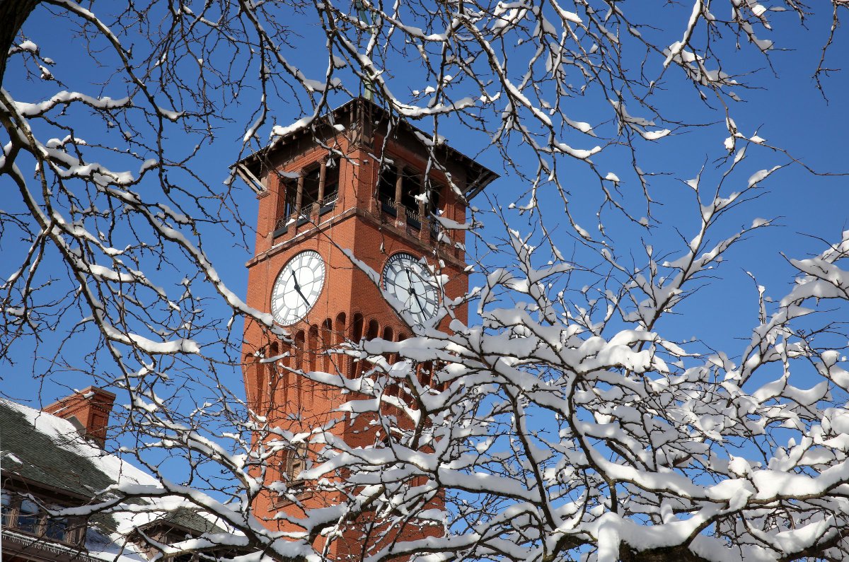 Heidi Catlin tweet media