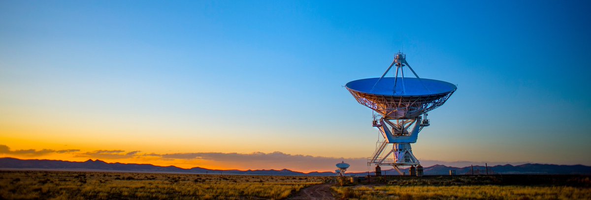 Dr Shane Huntington OAM tweet media