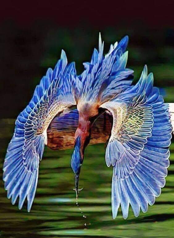 networkstore3's tweet image. Enjoy life.....