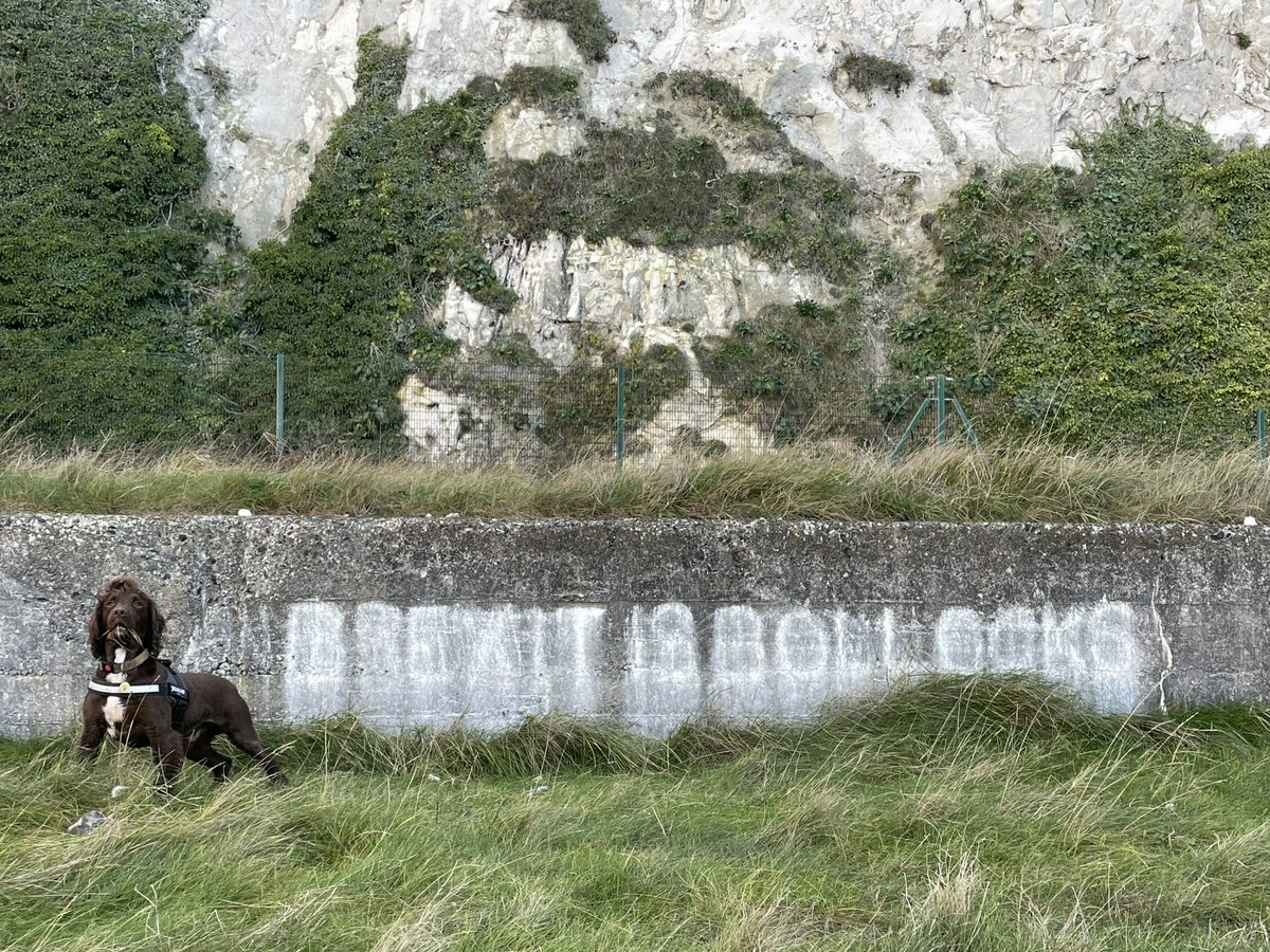 Kate House (@housek1) on Twitter photo 