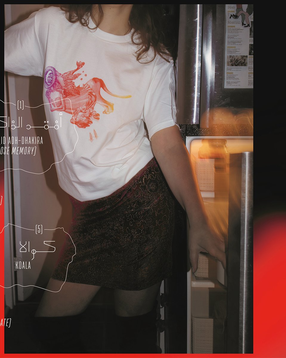 They are finally here :) Ahwar Anniversary T-shirts, original LP artwork-front, track list typography on the back, silver on black, color fountain on white. Shop here-> nadahelshazly.bandcamp.com/merch/ahwar-an…